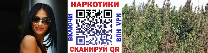 Купить Псилоцибиновые грибы  Cocaine  ГАШИШ  А ПВП  Меф мяу мяу  Бошки Шишки  Красногорск