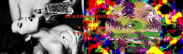 спиды Лабытнанги